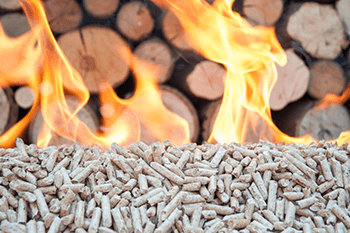 Biomasseheizung